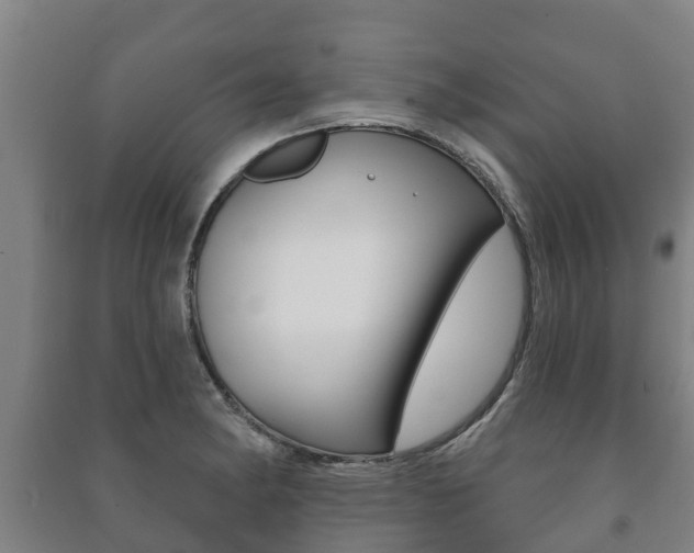 X0000091461182200708161101