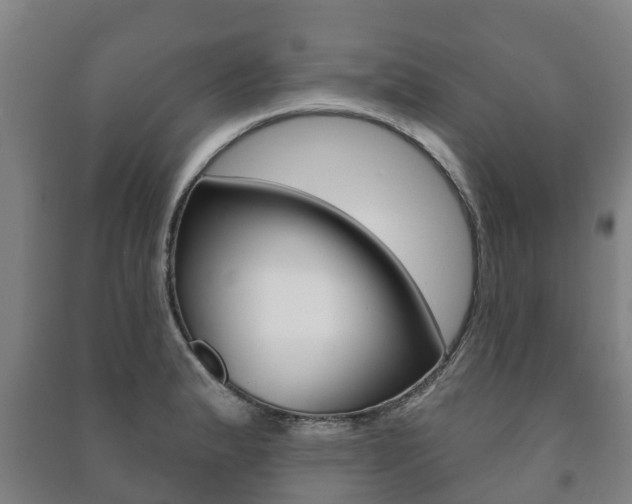 X0000091461183200708161101