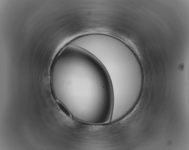 X0000091461184200708161101