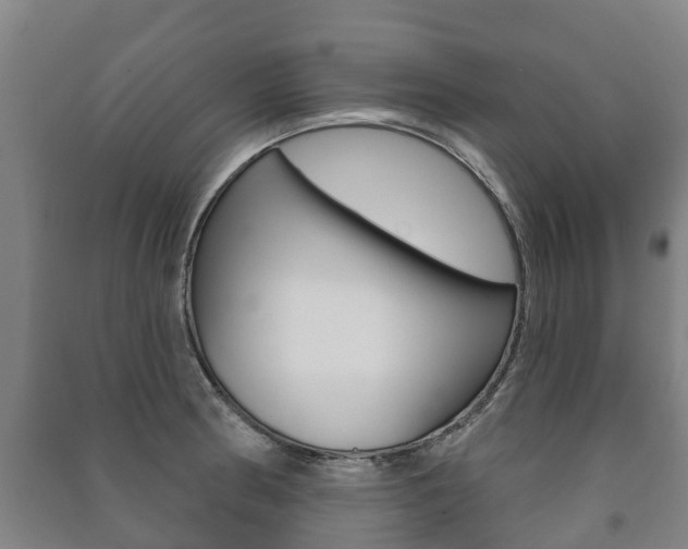 X0000091461186200708161101