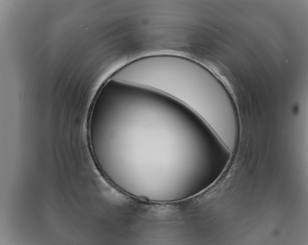 X0000091461189200708161101