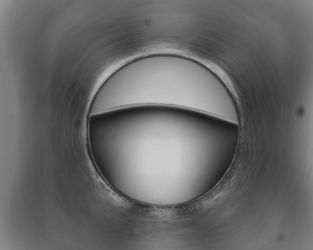 X0000091461191200708161101