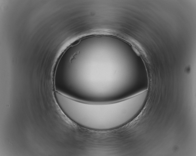 X0000091461192200708161101