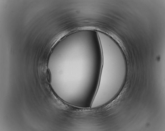 X0000091461193200708161101