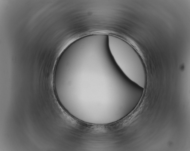 X0000091461194200708161101