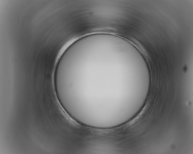 X0000091461196200708161101