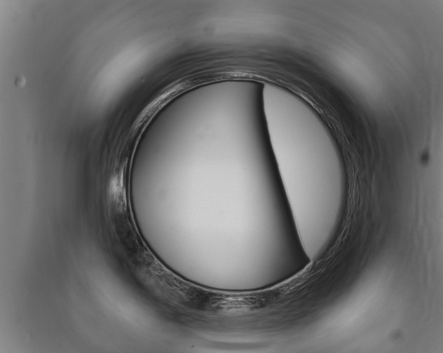 X0000091461198200708161101