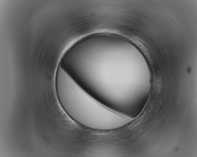 X0000091461199200708161101