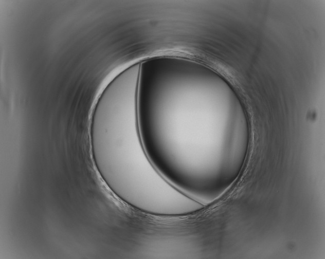 X0000091461200200708161101
