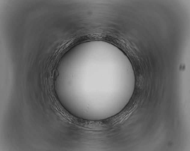 X0000091461201200708161100