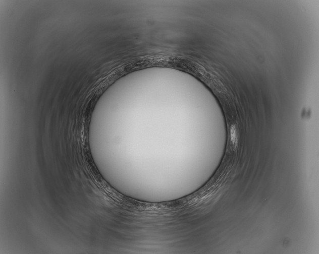 X0000091461203200708161100