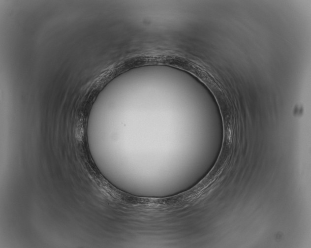 X0000091461204200708161100