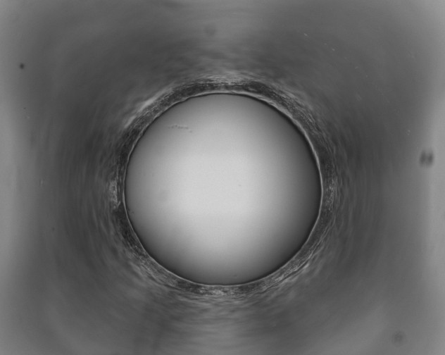 X0000091461205200708161100
