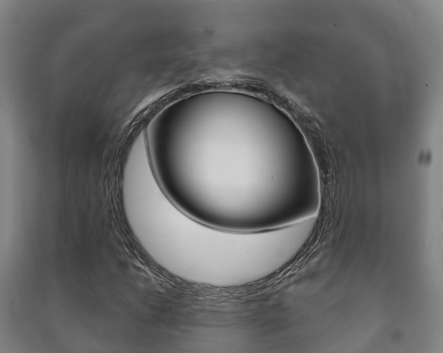 X0000091461206200708161100