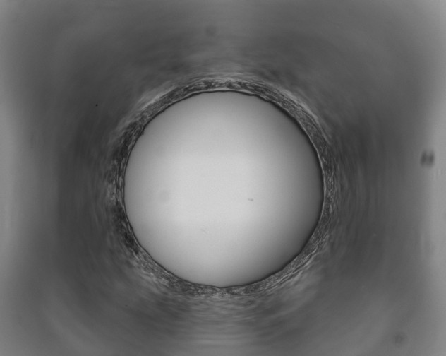 X0000091461207200708161100