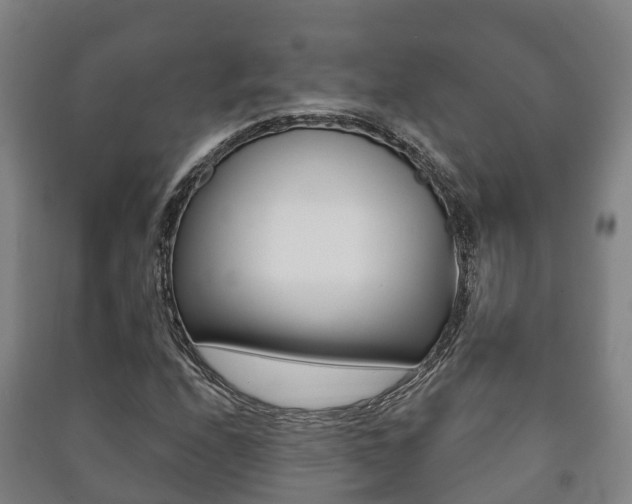 X0000091461208200708161100