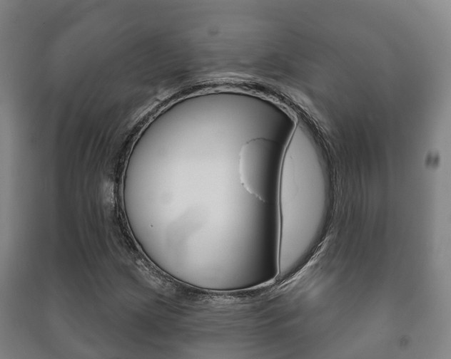 X0000091461209200708161100