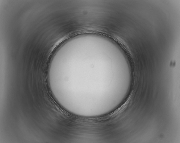 X0000091461210200708161100