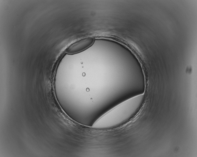 X0000091461212200708161100