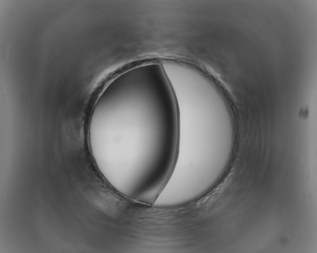 X0000091461214200708161100
