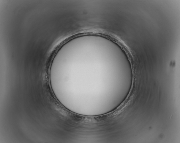 X0000091461215200708161100