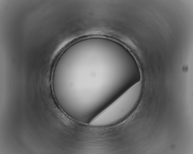 X0000091461216200708161100