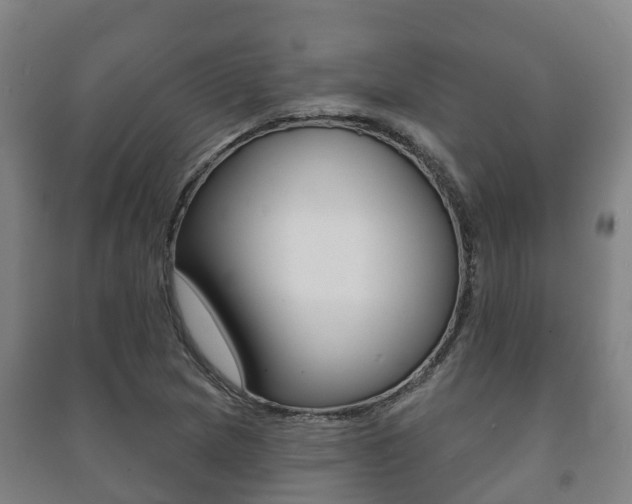 X0000091461217200708161100