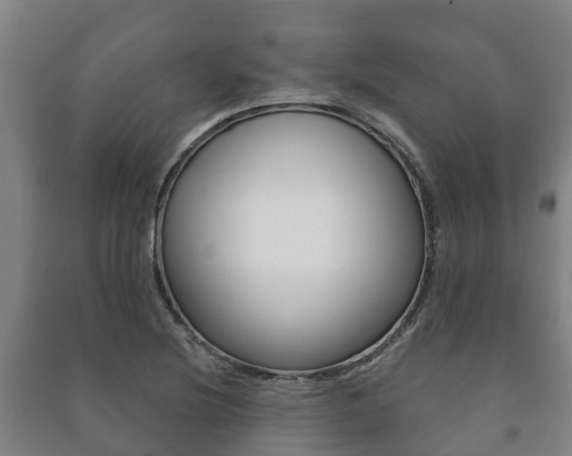 X0000091461220200708161100