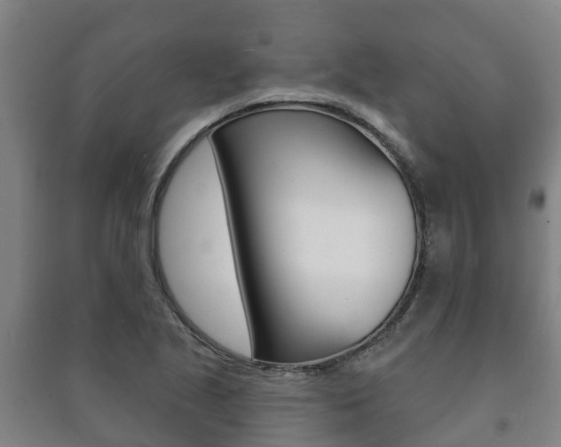 X0000091461221200708161100