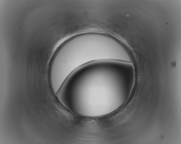 X0000091461222200708161100