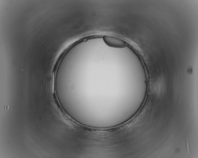 X0000091461223200708161100