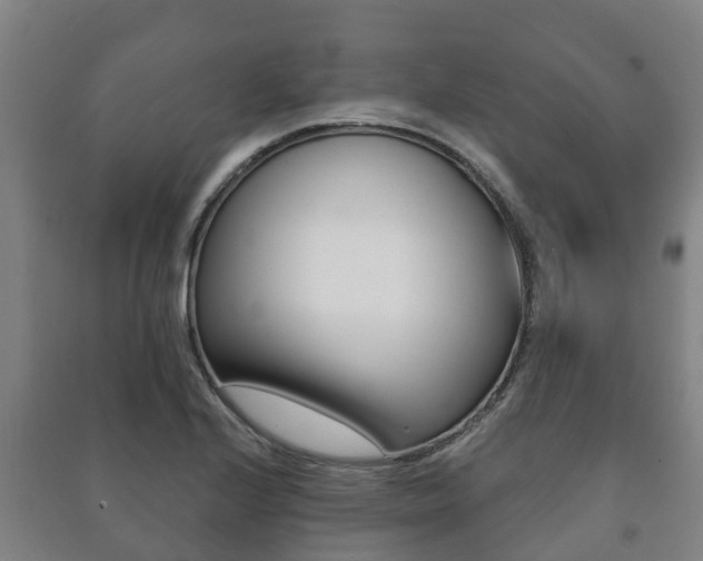 X0000091461224200708161100