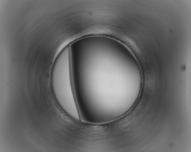 X0000091461226200708161100