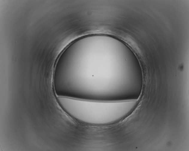 X0000091461228200708161100