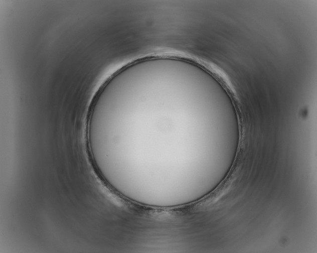 X0000091461231200708161101