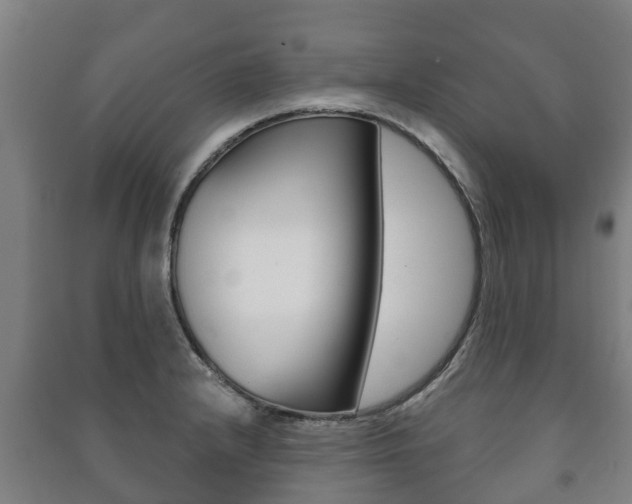 X0000091461232200708161101