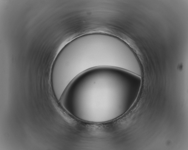 X0000091461234200708161101