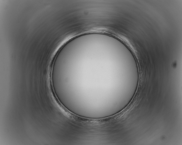 X0000091461235200708161101