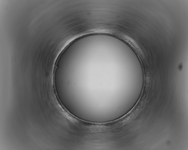 X0000091461236200708161101