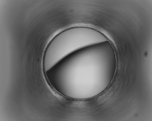 X0000091461237200708161101