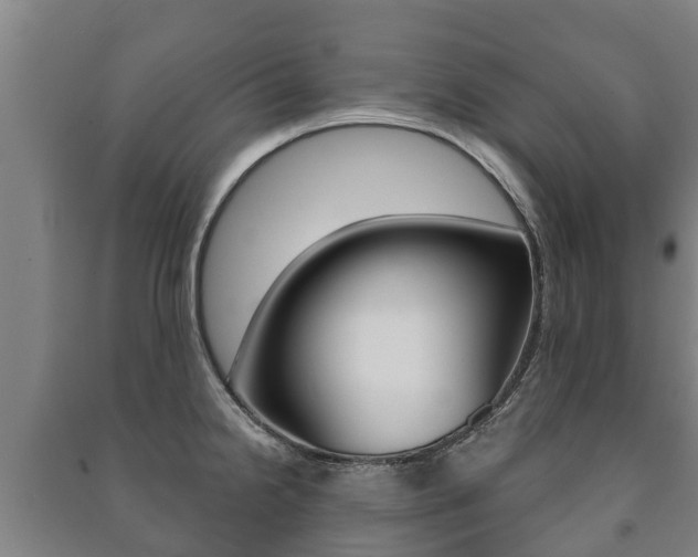 X0000091461238200708161101