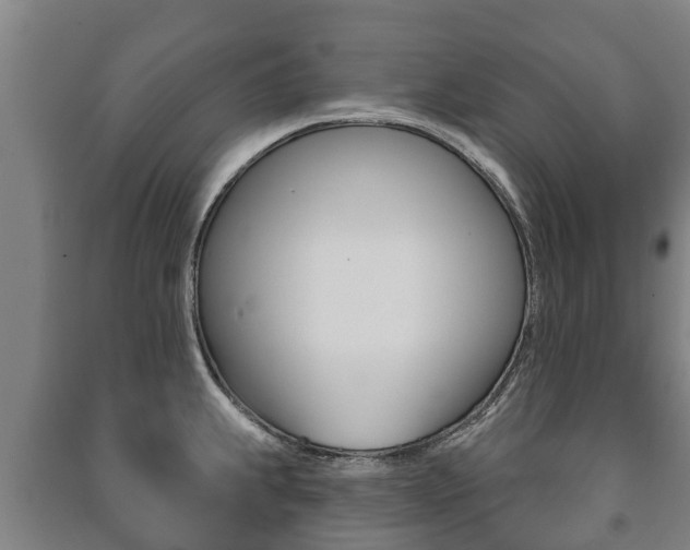 X0000091461239200708161101