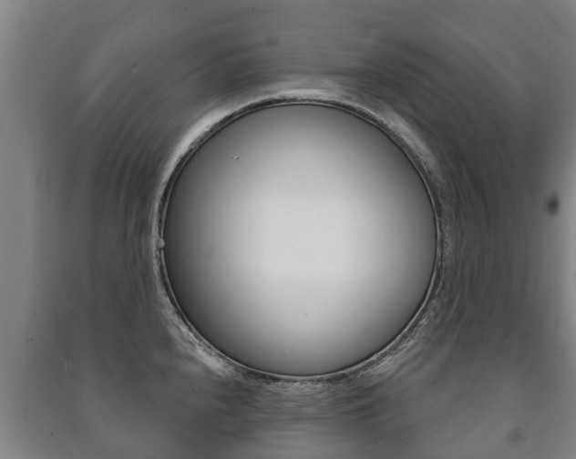 X0000091461240200708161101