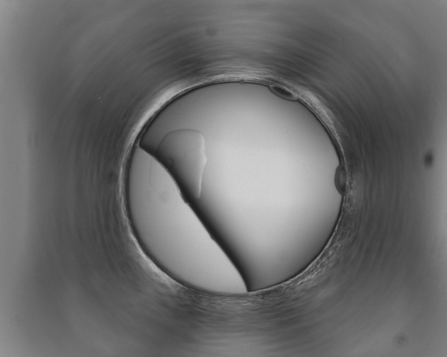 X0000091461243200708161101