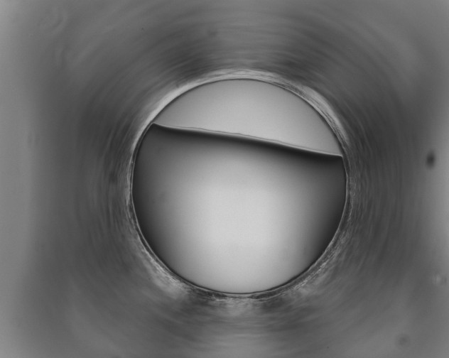 X0000091461244200708161101