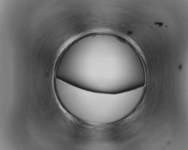 X0000091461245200708161101