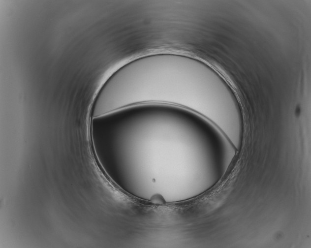 X0000091461246200708161101