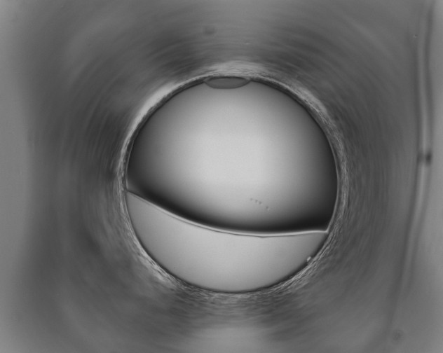 X0000091461248200708161101
