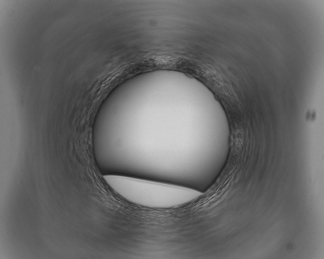 X0000091461249200708161100