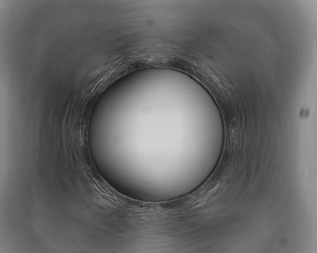 X0000091461250200708161100